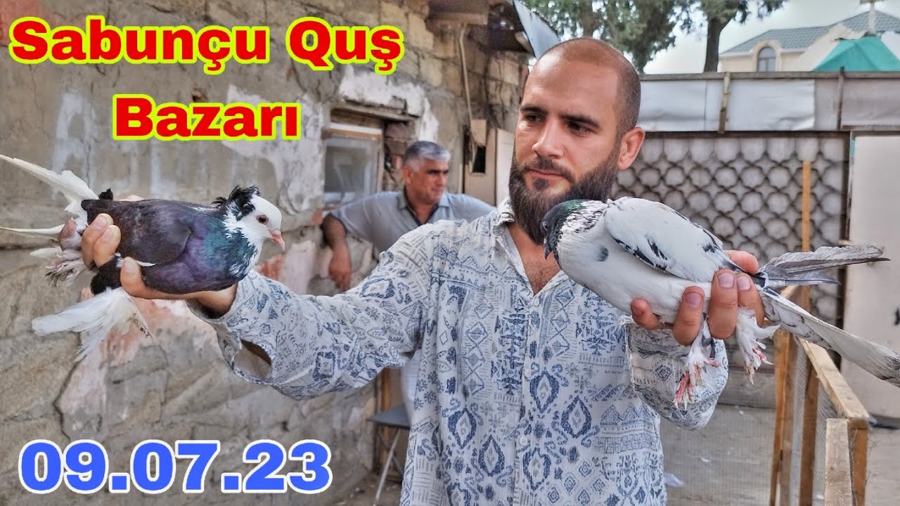 Sabunçu Quş Bazarı 09 iyul 2023