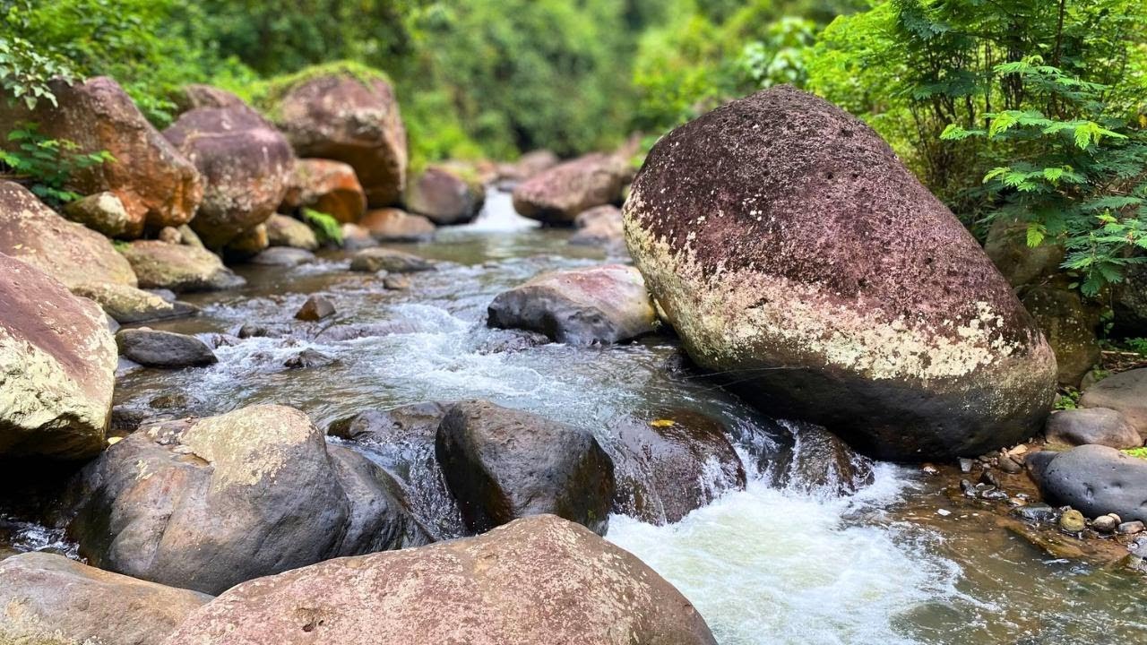 Powerful River Flow Over Rocks with Calming Nature Sounds for Meditation and Better Sleep