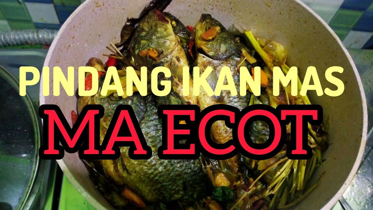PINDANG IKAN MAS MA ECOT, BANTU SUBSCRIBE SHER COMENT LIKE YA SAHABATKU 🙏