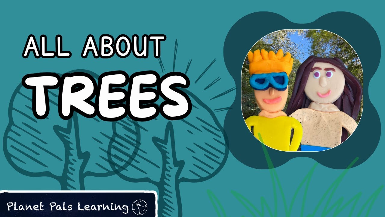 All About Trees | Ecosystem Services & Nature Explained for Kids