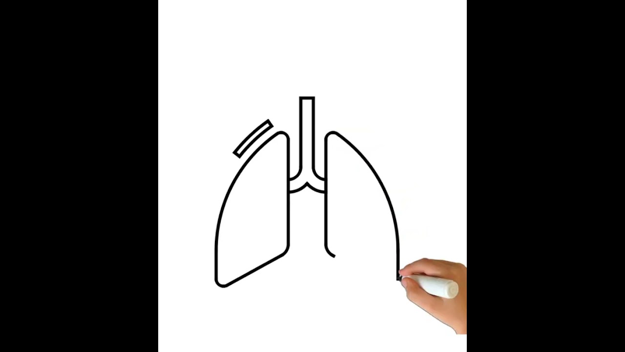 How to draw human lungs  very easy #shorts #viral #trending