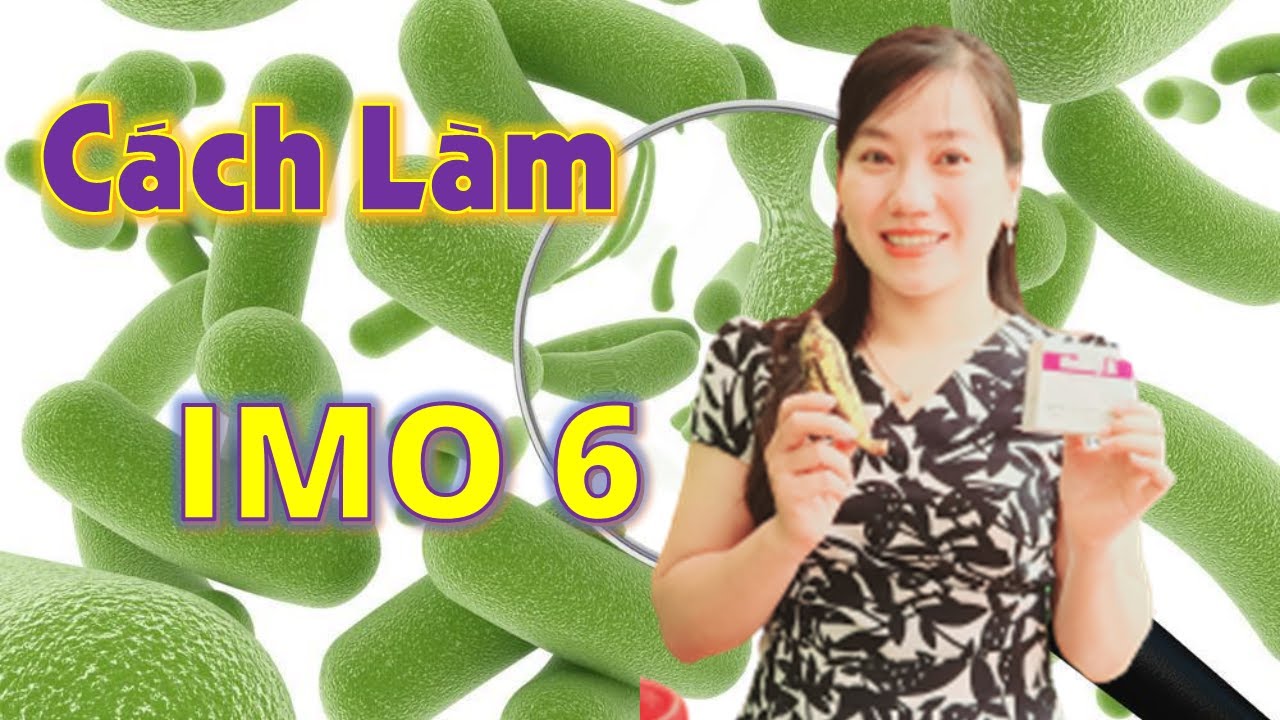 Cách làm Vi sinh IMO6 chuẩn, đơn giản - Làm Nong Tử Tế IMO