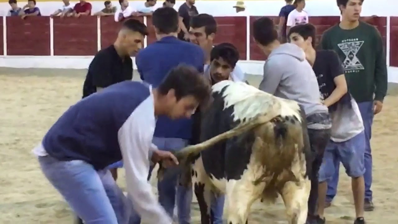 Garraiada terrugem 2019