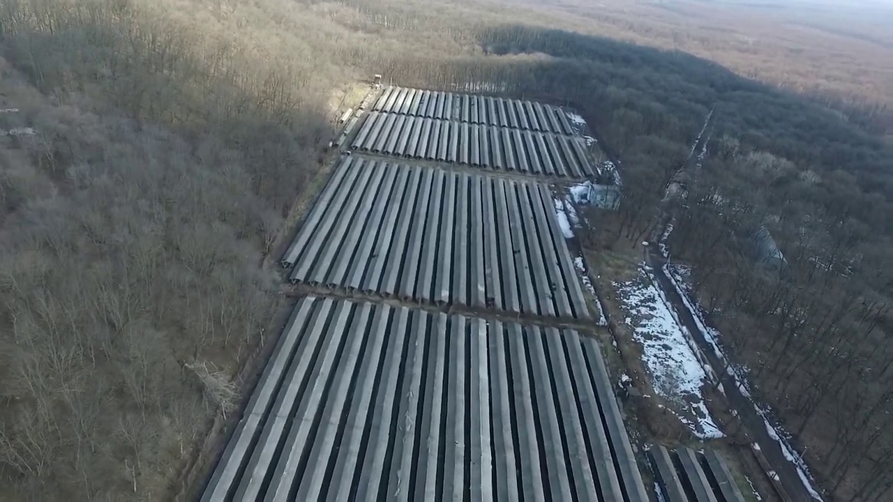 Черкаське звірогосподарство Облспоживспілки, Мошни, Черкаська область
