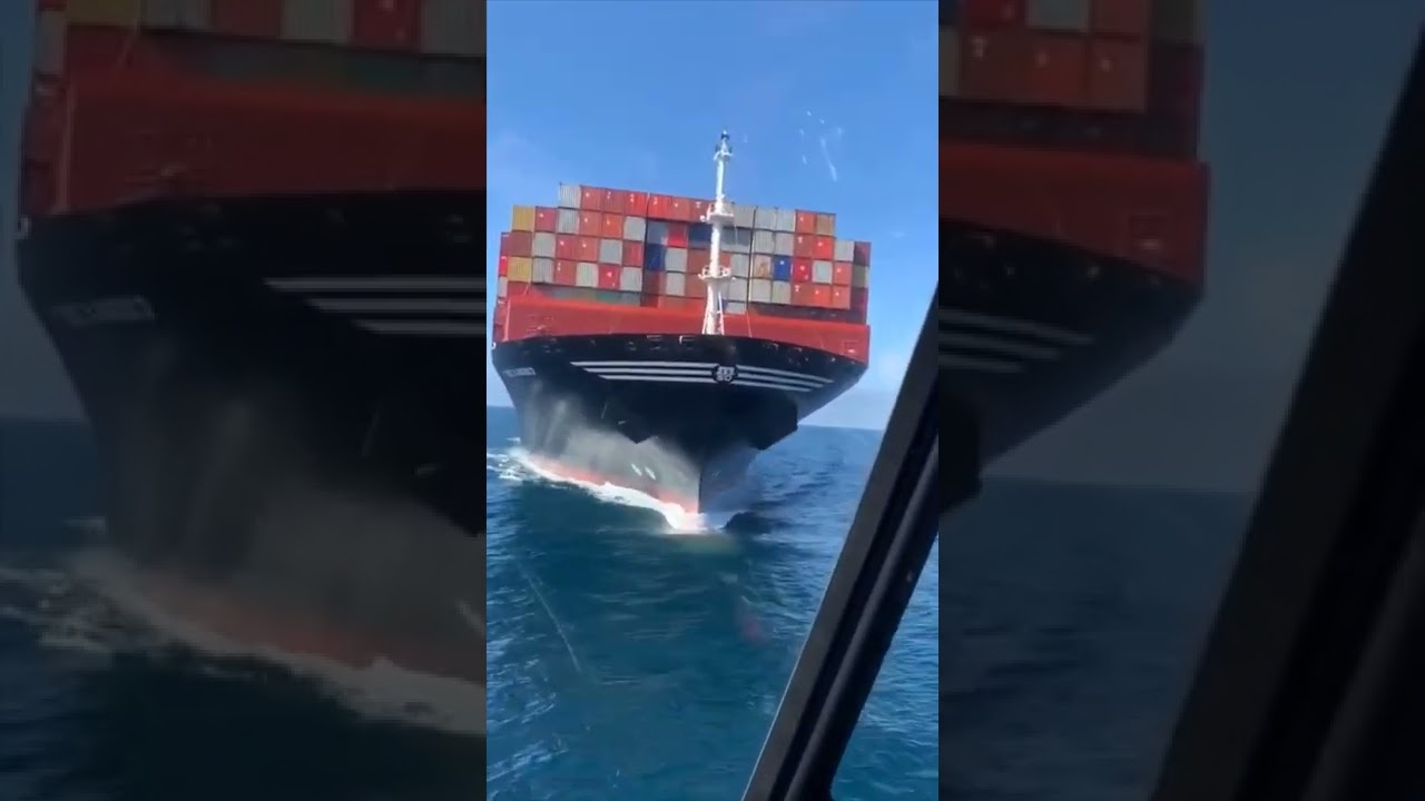 #MSC shipping company #merchant #youtubevideo #youtuber #love #lifeatsea