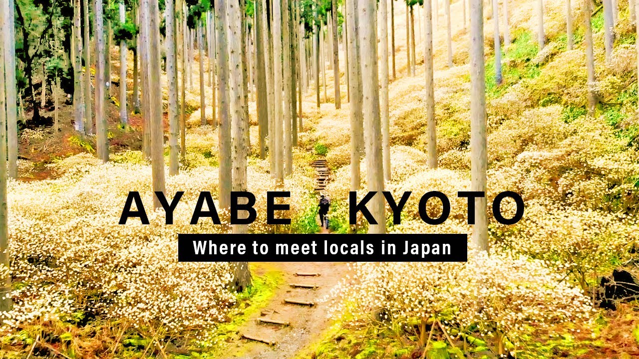 AYABE KYOTO Where to meet locals in Japan / 3min to know about AYABE