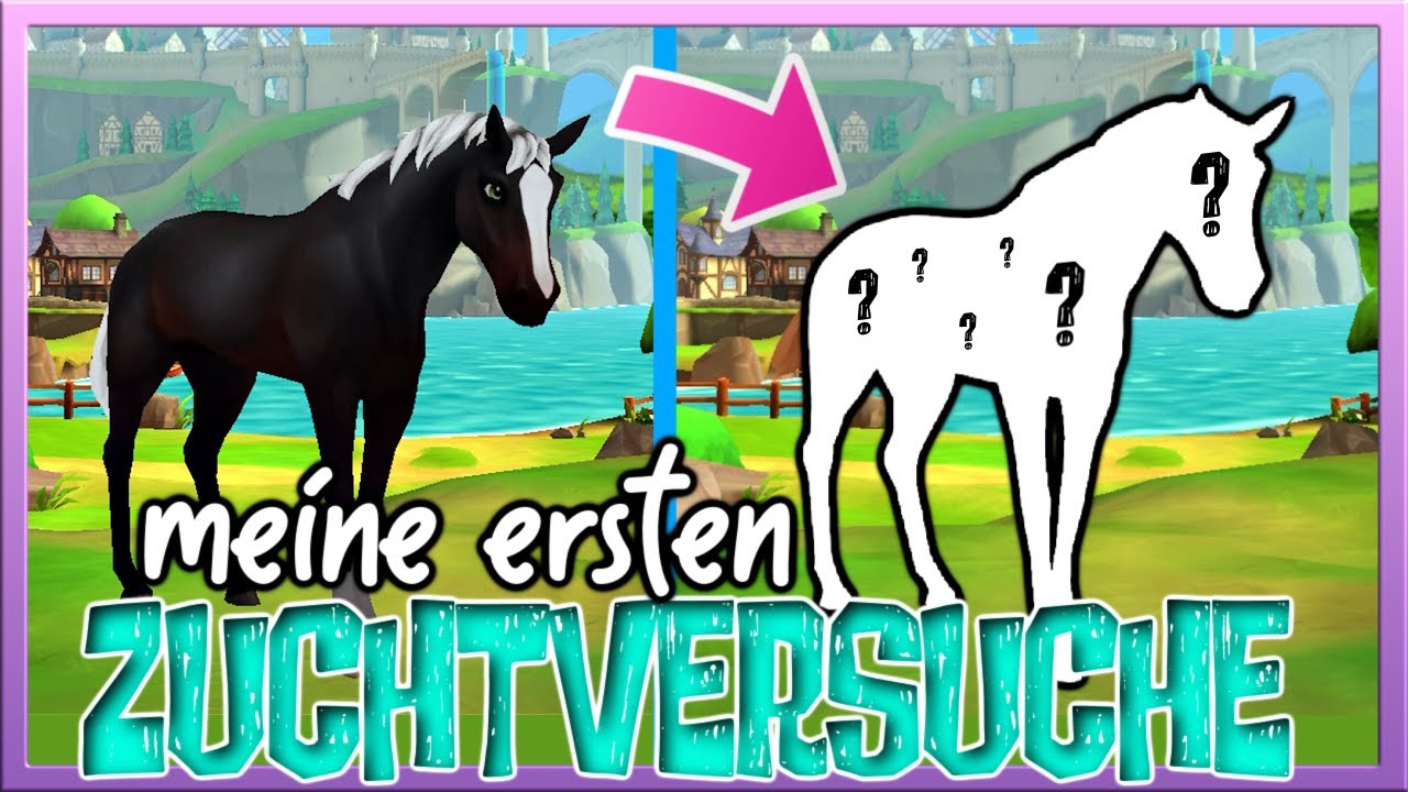 Meine 1️⃣. ZUCHTVERSUCHE in WILDSHADE 🐴 (krasses LUCK 🍀)