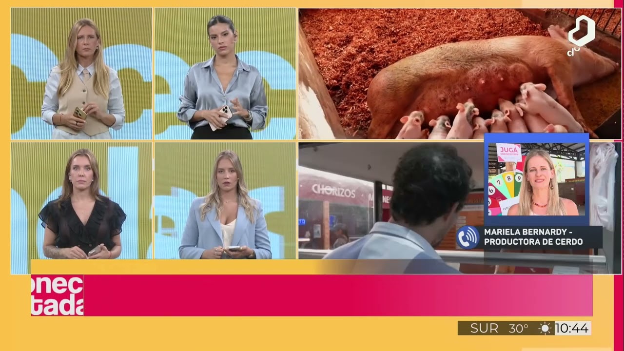 #Conectadas: competencia desleal con la carne porcina de importaci&oacute;n