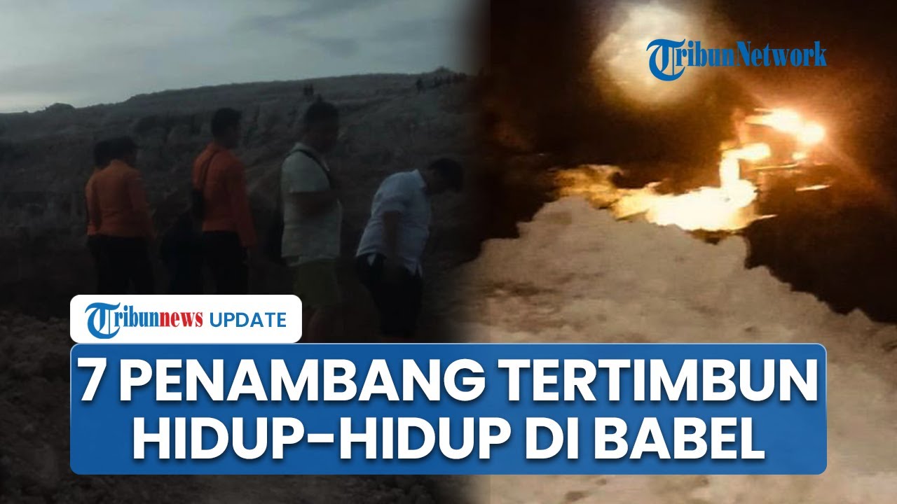 7 Penambang Timah Tertimbun Tanah Hidup-hidup di Kawasan Eks Tambang Pondi Bangka Belitung