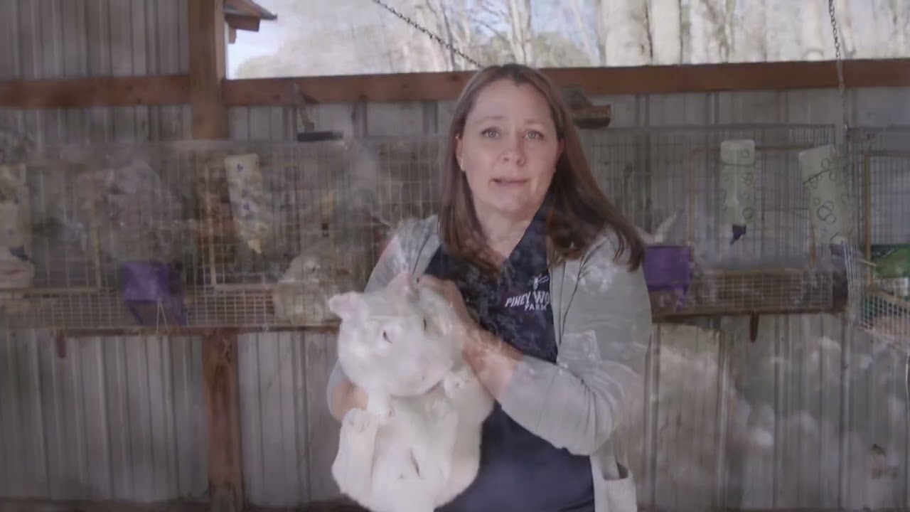 AgVentures: Piney Woods Farm