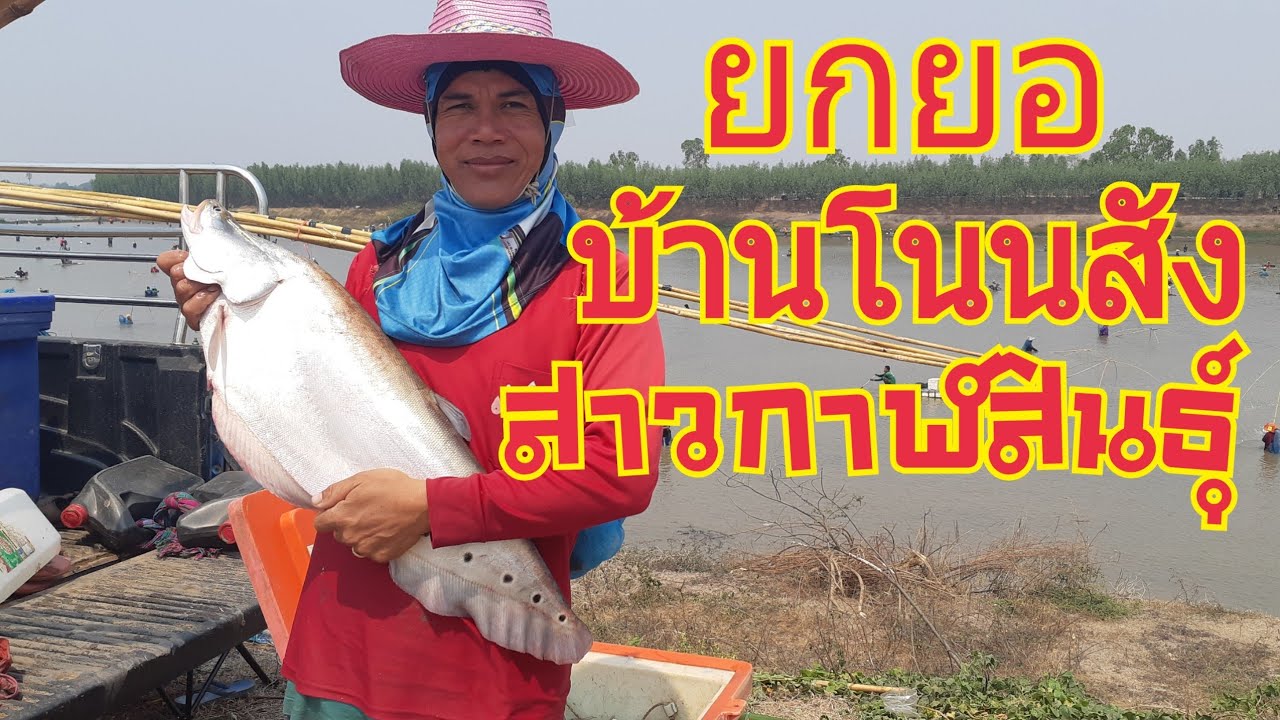 ยกยอEP.18ครั้งละฝูง จะเยอะไปใหน!!! ล้างบ่อบ้านโนนสัง บัตร300 เจ้ปู สาวกาฬสินธุ์ หมานสุดๆ
