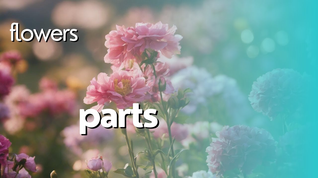 Parts of the flower in urdu/ Science learning stories