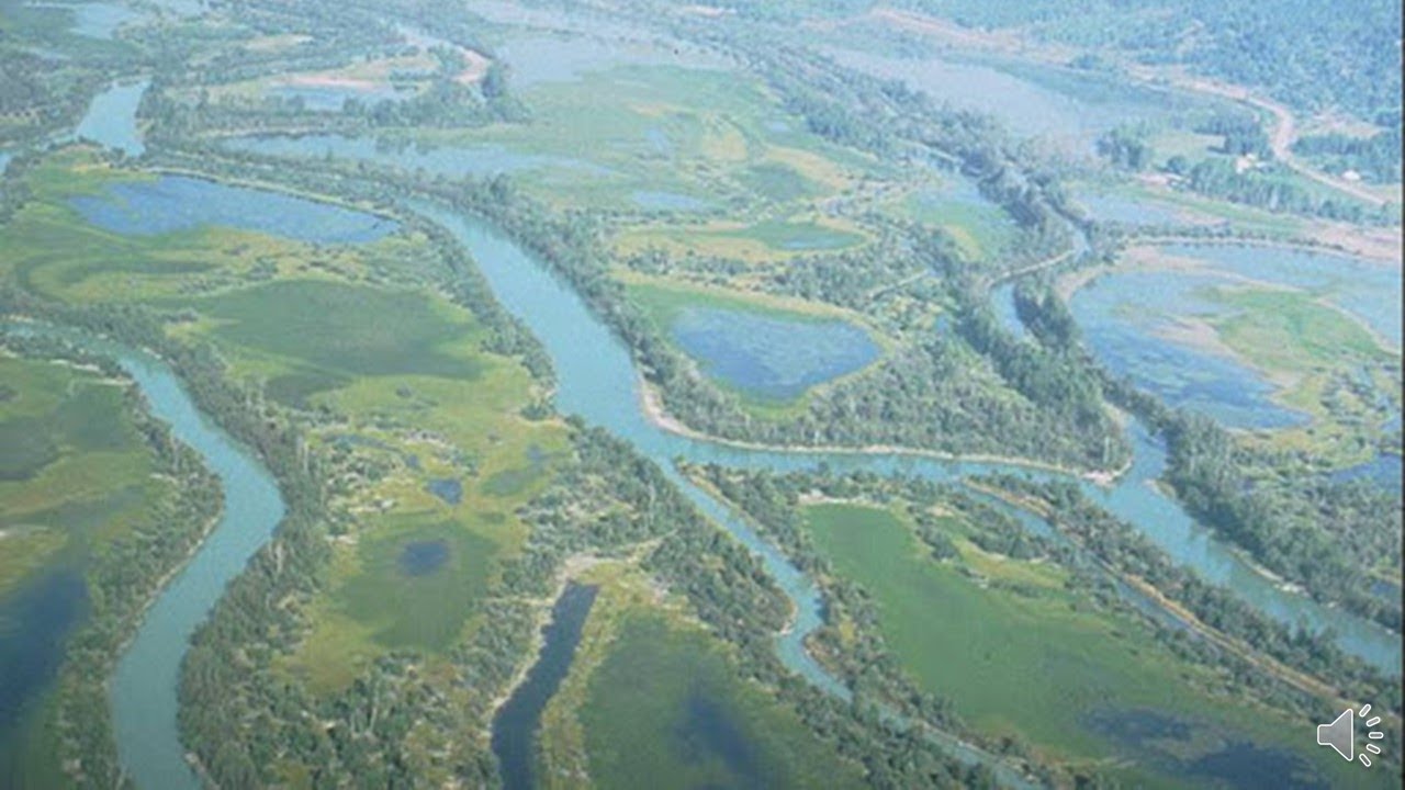 Fluvial & Alluvial Depositional Systems