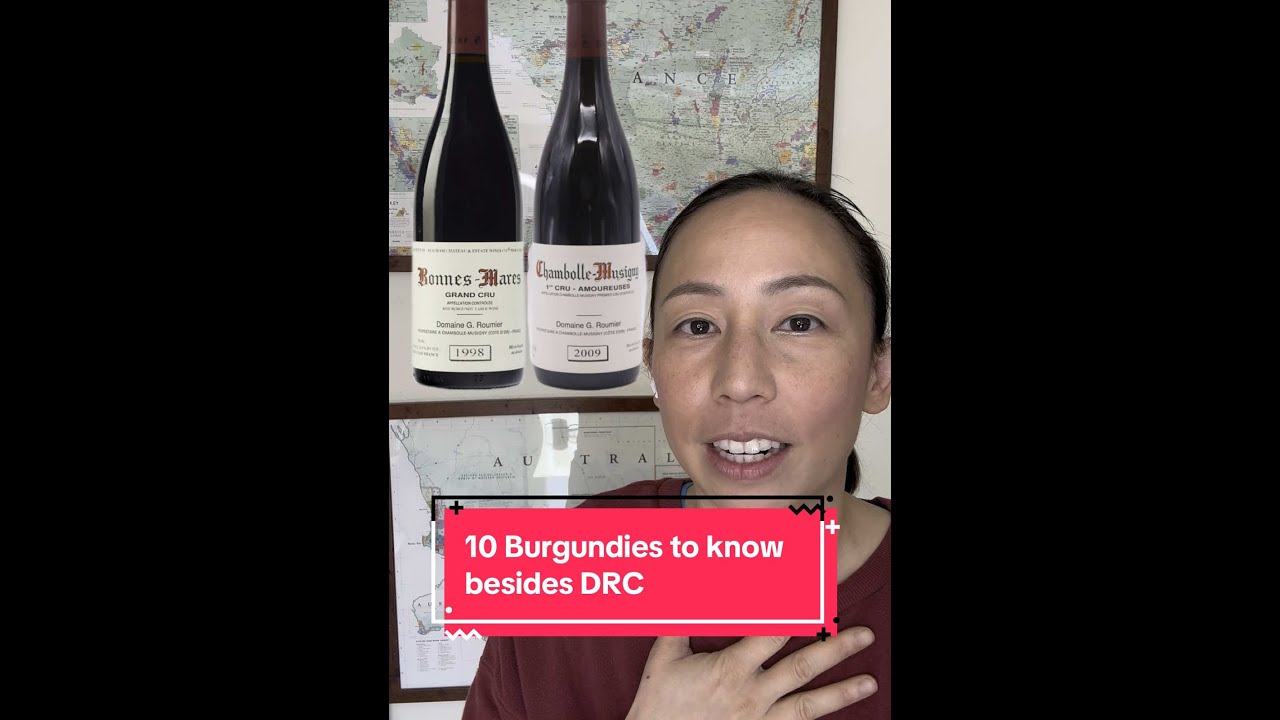 ✨ 10 Must-Know Burgundy Producers for Serious Collectors ✨