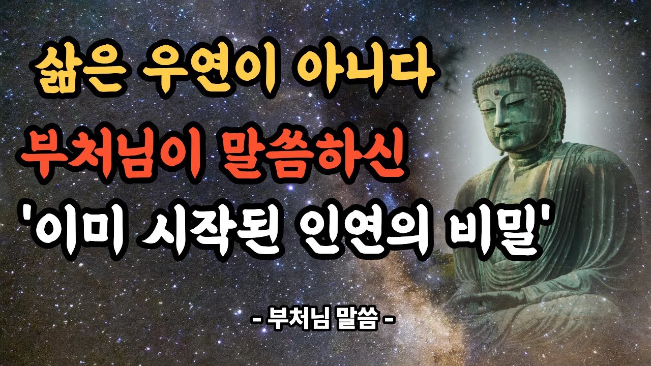 지금 이 삶, 이유 없이 오지 않았다. 부처님이 말한 인연의 진실ㅣ부처님 가르침ㅣ불교 인생 말씀ㅣ석가모니 명언ㅣ불교 지혜의 말ㅣ삶을 바꾸는 부처님 말씀ㅣ