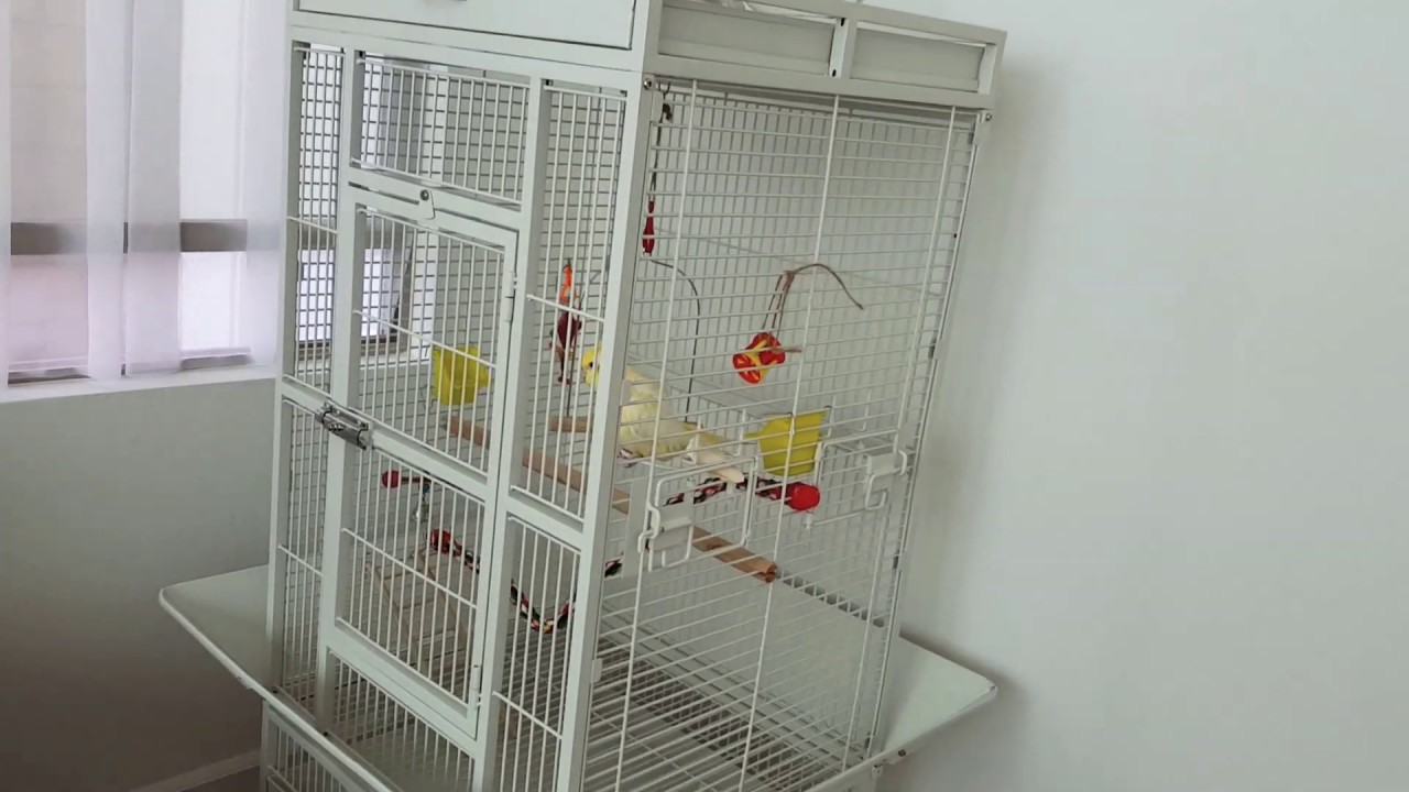 Review Prevue Birds Cage for my cockatiel♡
