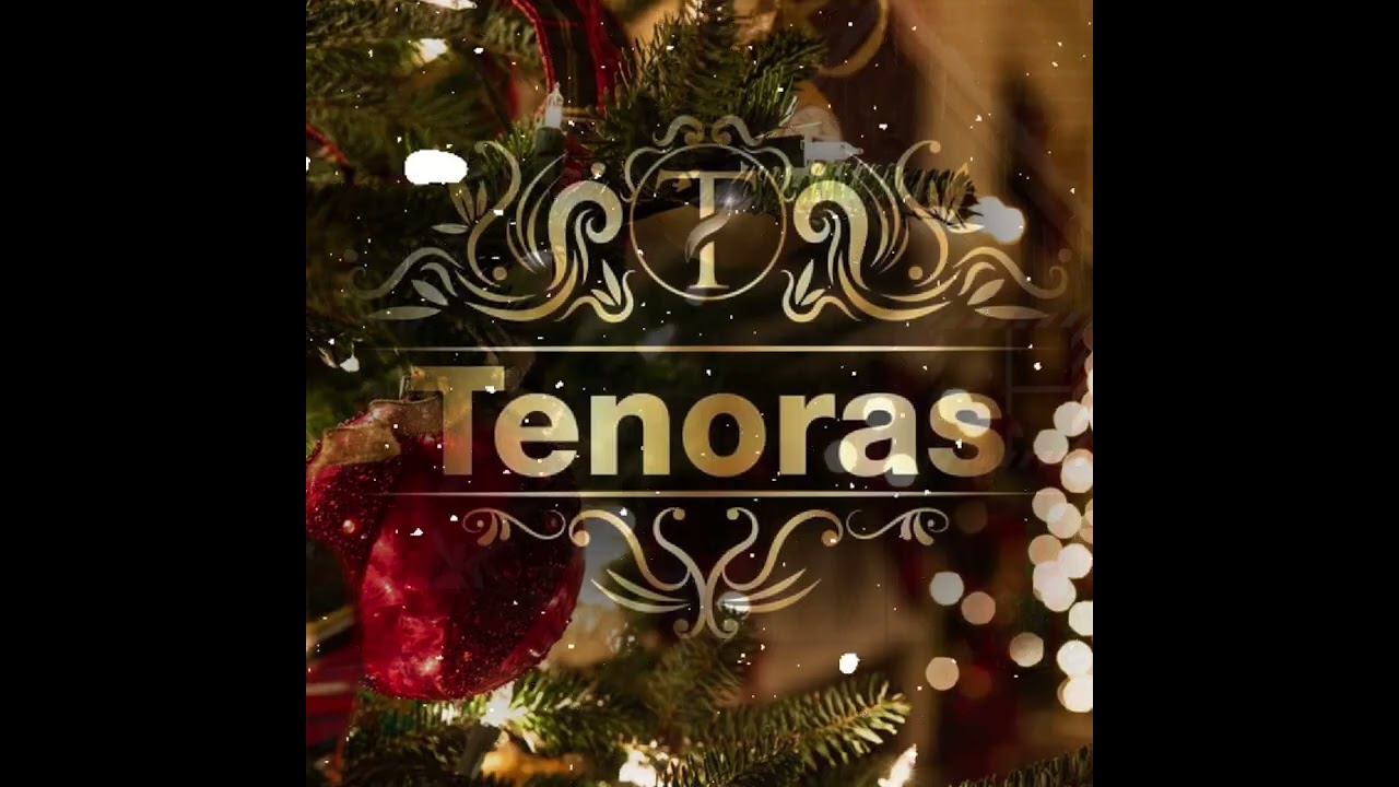 Tenoras - Kalėdų Naktį Tylią (COVER)