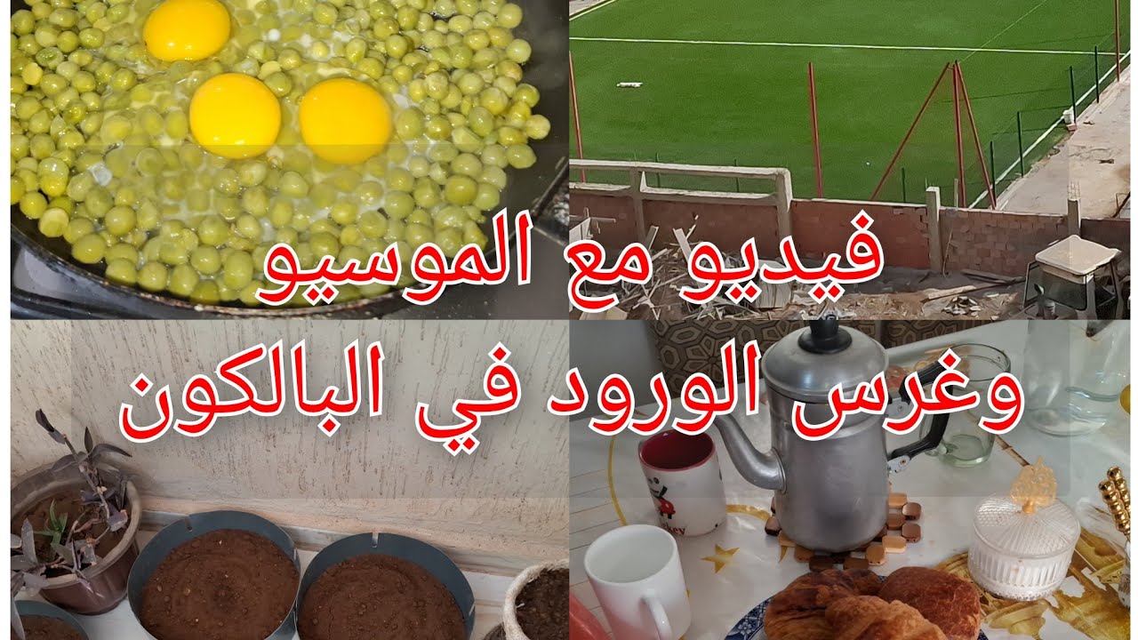 قدر الله وماشاء فعل 😌فيديو مع الموسيو وغرس الورود في البالكون💯💥