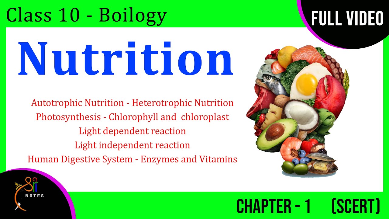 Nutrition | Class 10 Biology | Chapter - 1 | Concept Explanation | Sri Notes