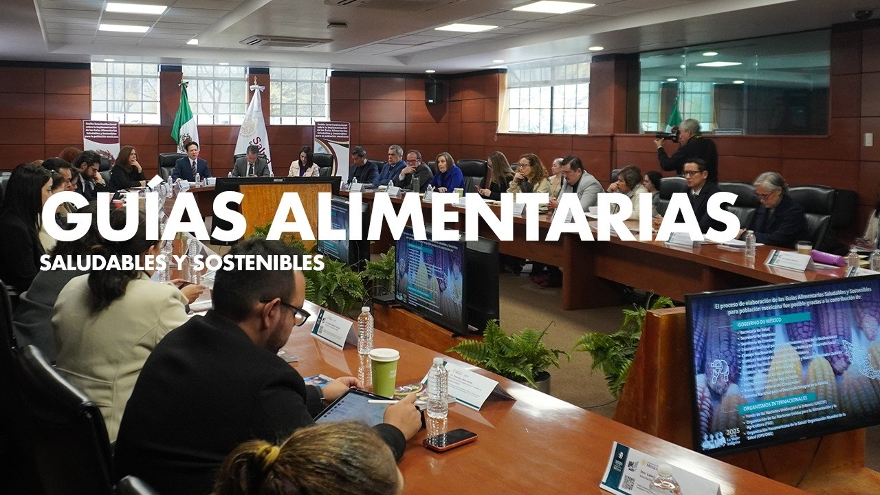 Sesión Interinstitucional Implementación de las Guías Alimentarias Saludables y Sostenibles