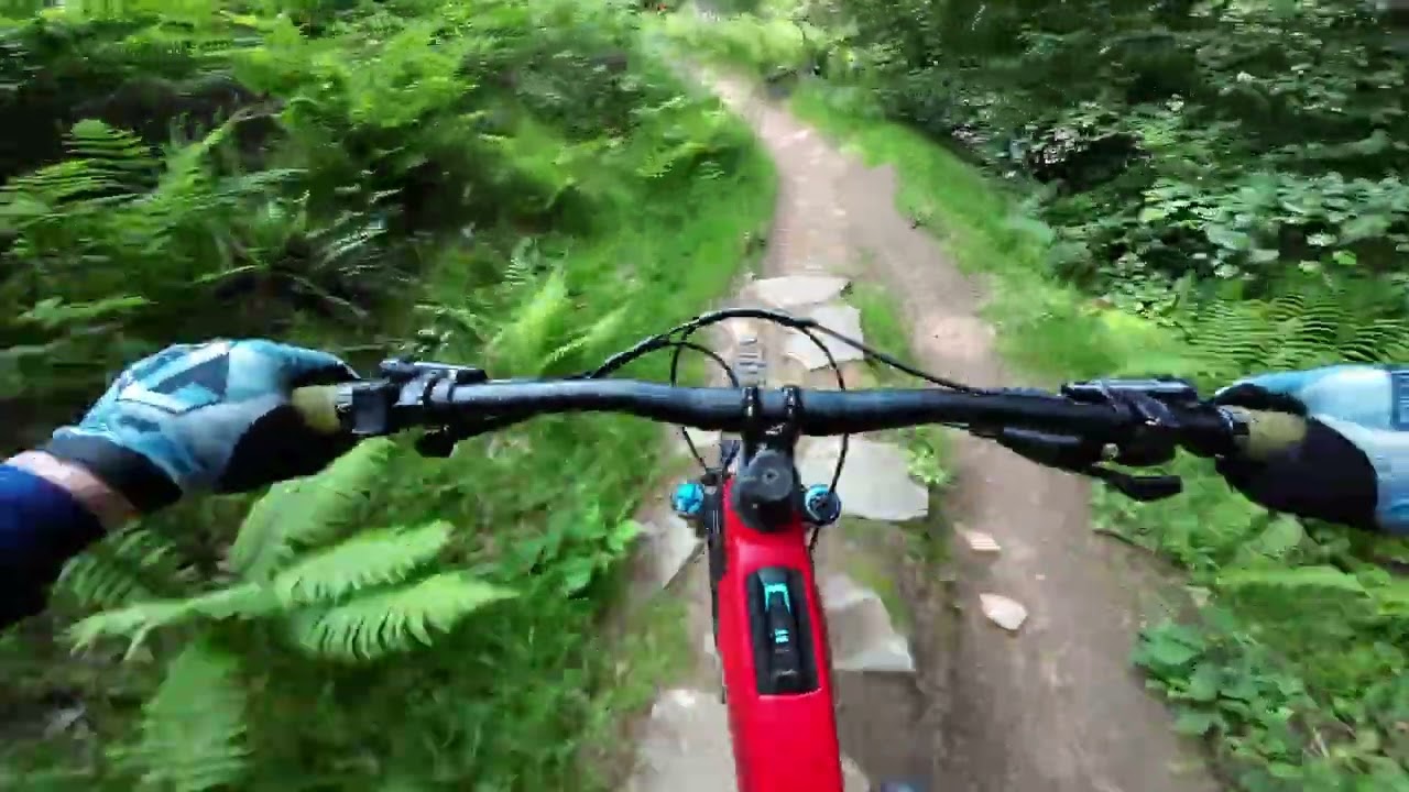 Cwmcarn Evil ted - First ride on trails for trek gen 5