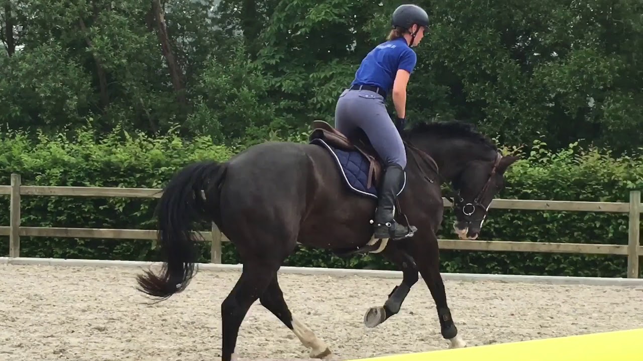 Anouk vd Bisschop ( Air Jordan Alpha z x Concorde ) mare 2014