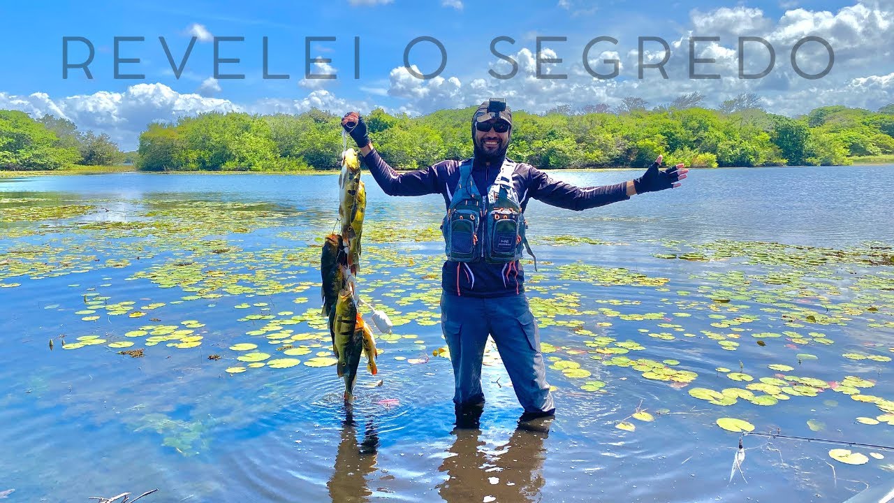 Voltei a Pescar Nesse Lugar e Revelei o Segredo pra Pegar os Peixes Brutos.