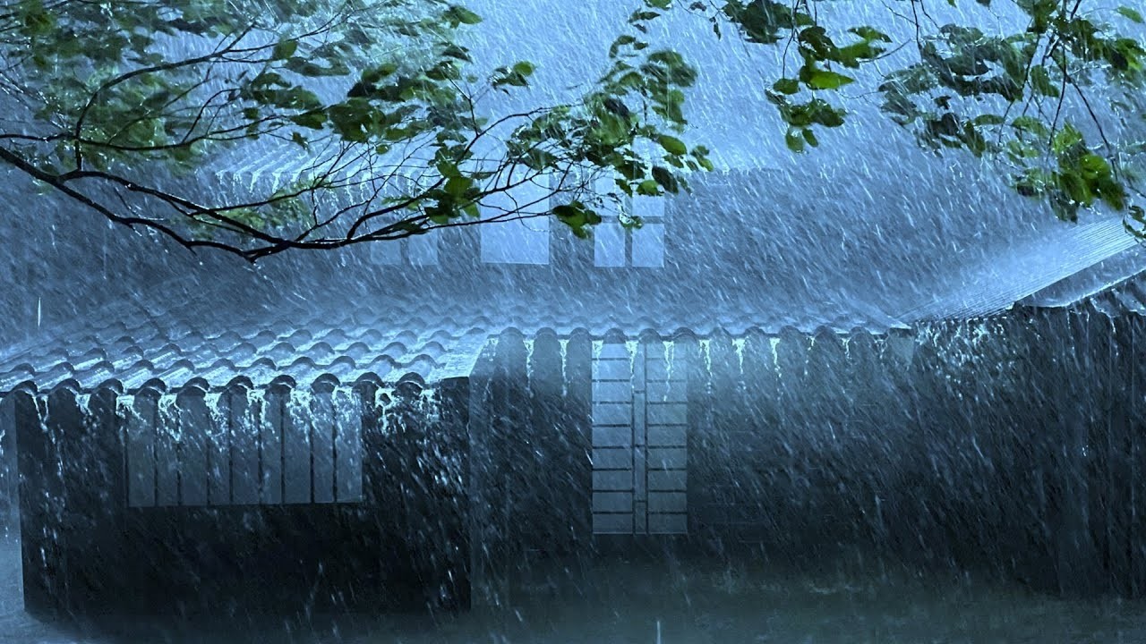Smash Insomnia with Jerky Storms, Rain Rushing & Heavy Wind on Old Metal Roofs in the Misty Night
