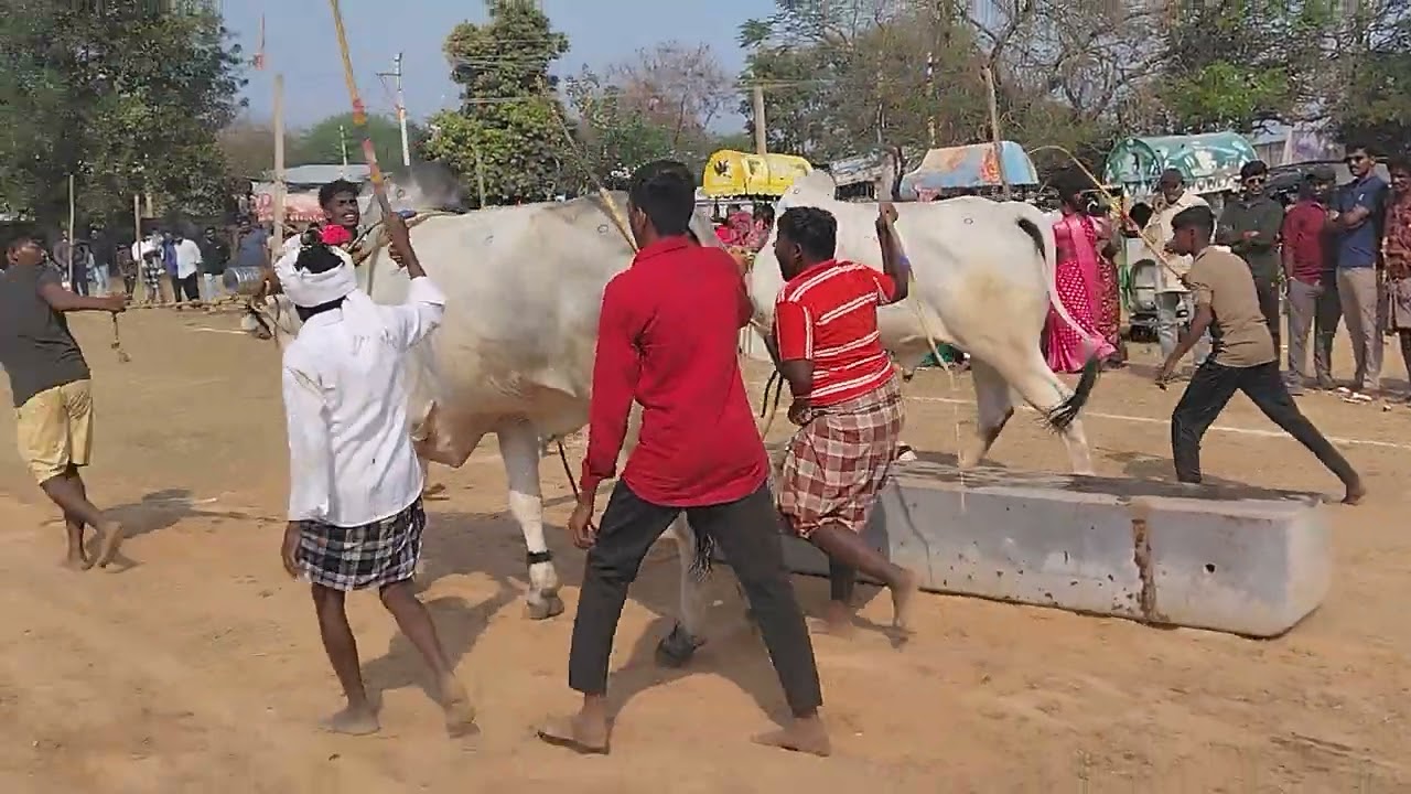 కడప జిల్లా నందలూరు మండలం టంగుటూరు 1800 లాగి ఆరవ ప్రైస్ కైవసం చేసుకున్నాయి టంగుటూరి పెంచలయ్య 