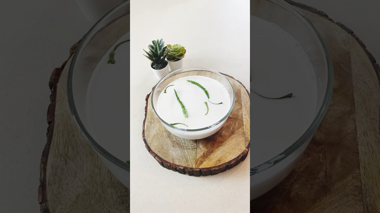 How to make Peanut Milk High Protein Vegan Milk/ Curd #vegan #peanut #protein #Milk #curd