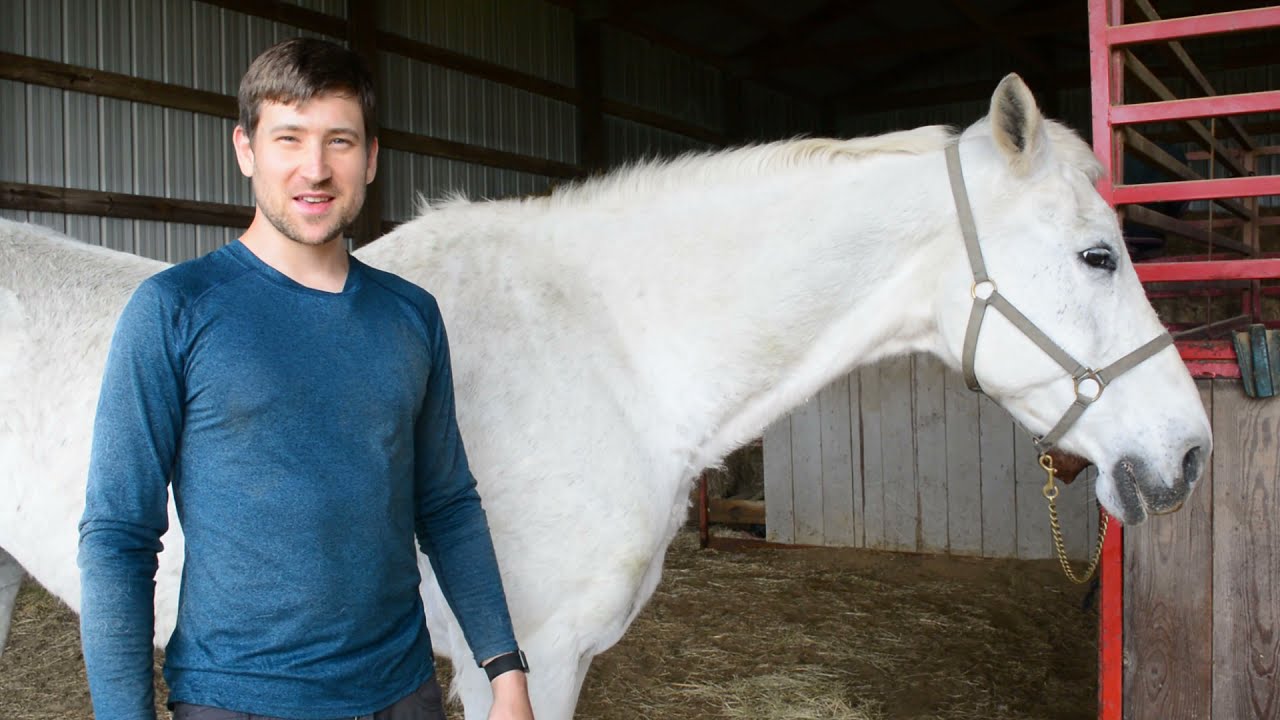 Make shoeing and trimming easier with the hoof stand