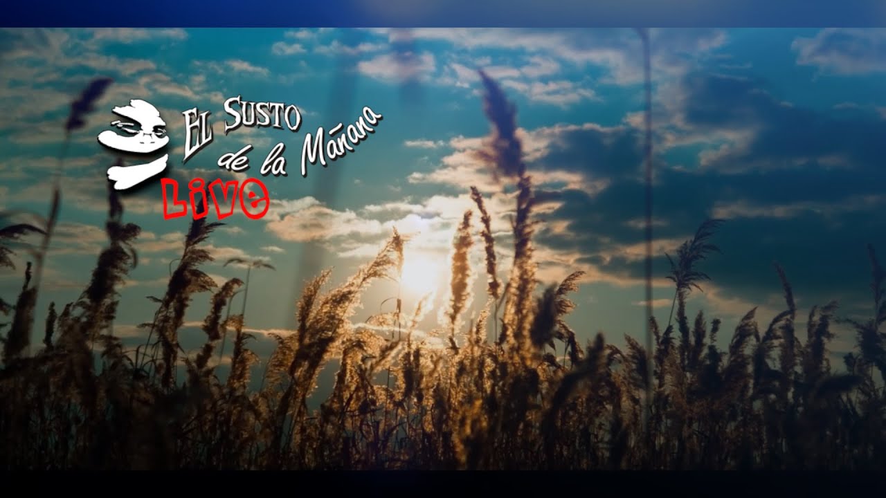 Hoy es un día especial - #ElSustodelaMañana (756)