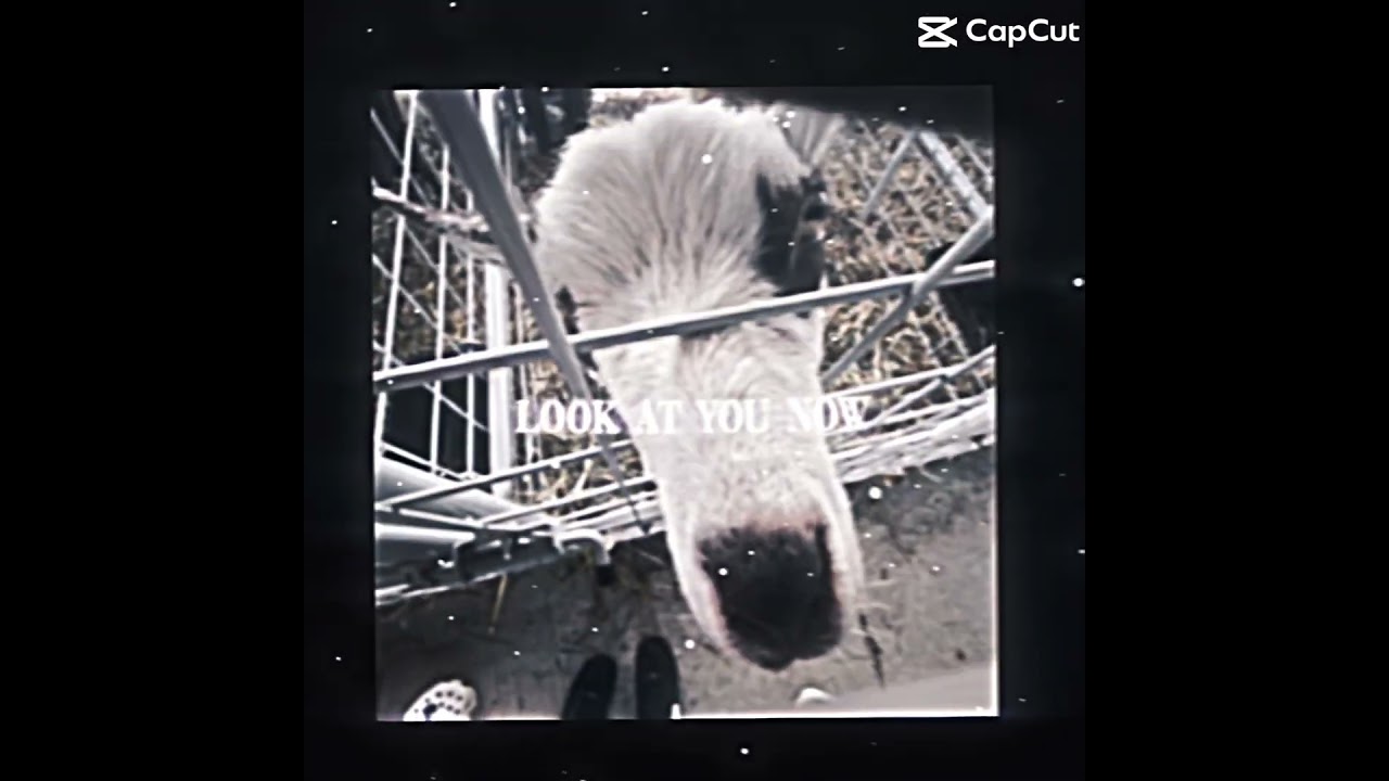 I took this video at the Armada Fair #Armada