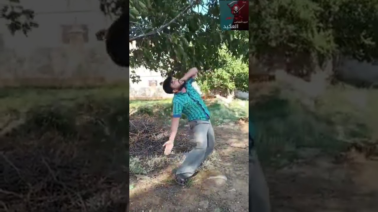 أبوك ابن عم الرئيس طرانب