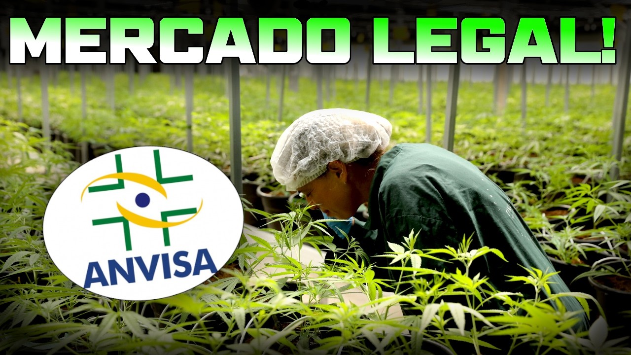 PROFISS&Atilde;O GROWER | Como Trabalhar com o CULTIVO NO BRASIL?