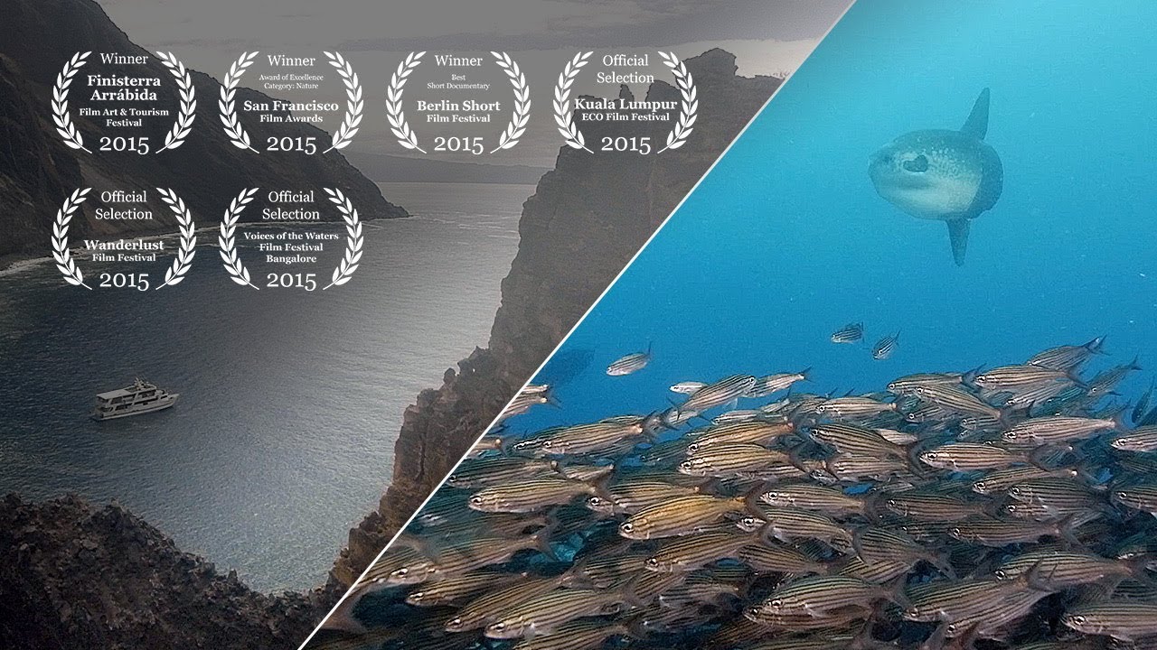 Diving Galapagos #6  – Punta Vicente Roca