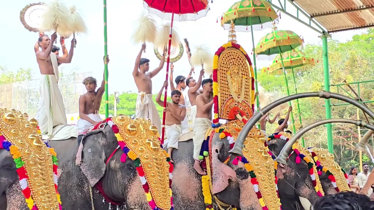 പെരുവനം കുട്ടൻമാരാർ, ചൊവ്വല്ലൂർ മോഹനൻ വാര്യർ, തിരുവല്ല രാധാകൃഷ്ണൻ