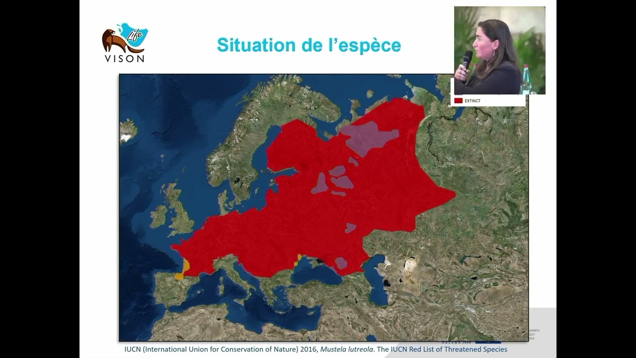 Live de la Conférence LPO