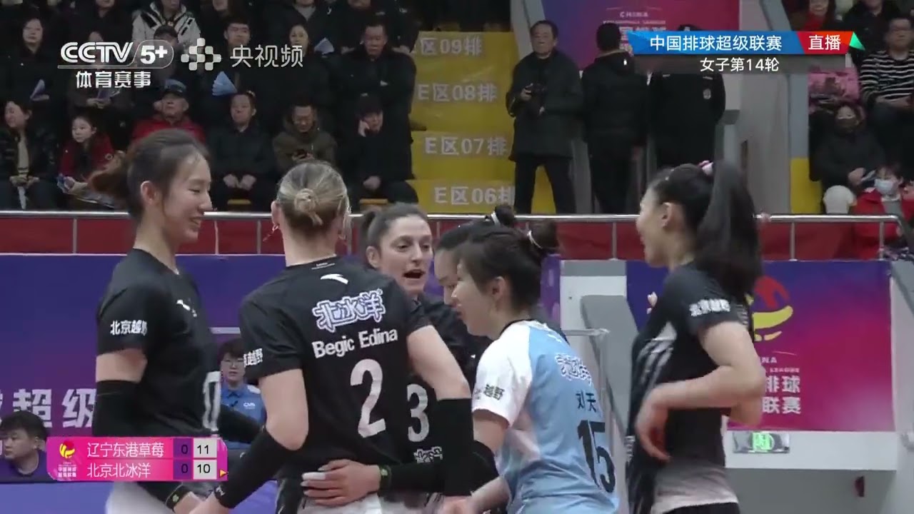 辽宁东港草莓 🆚 北京北冰洋 | 2025–2026 中国女子排球超级联赛 A级常规赛 第14轮