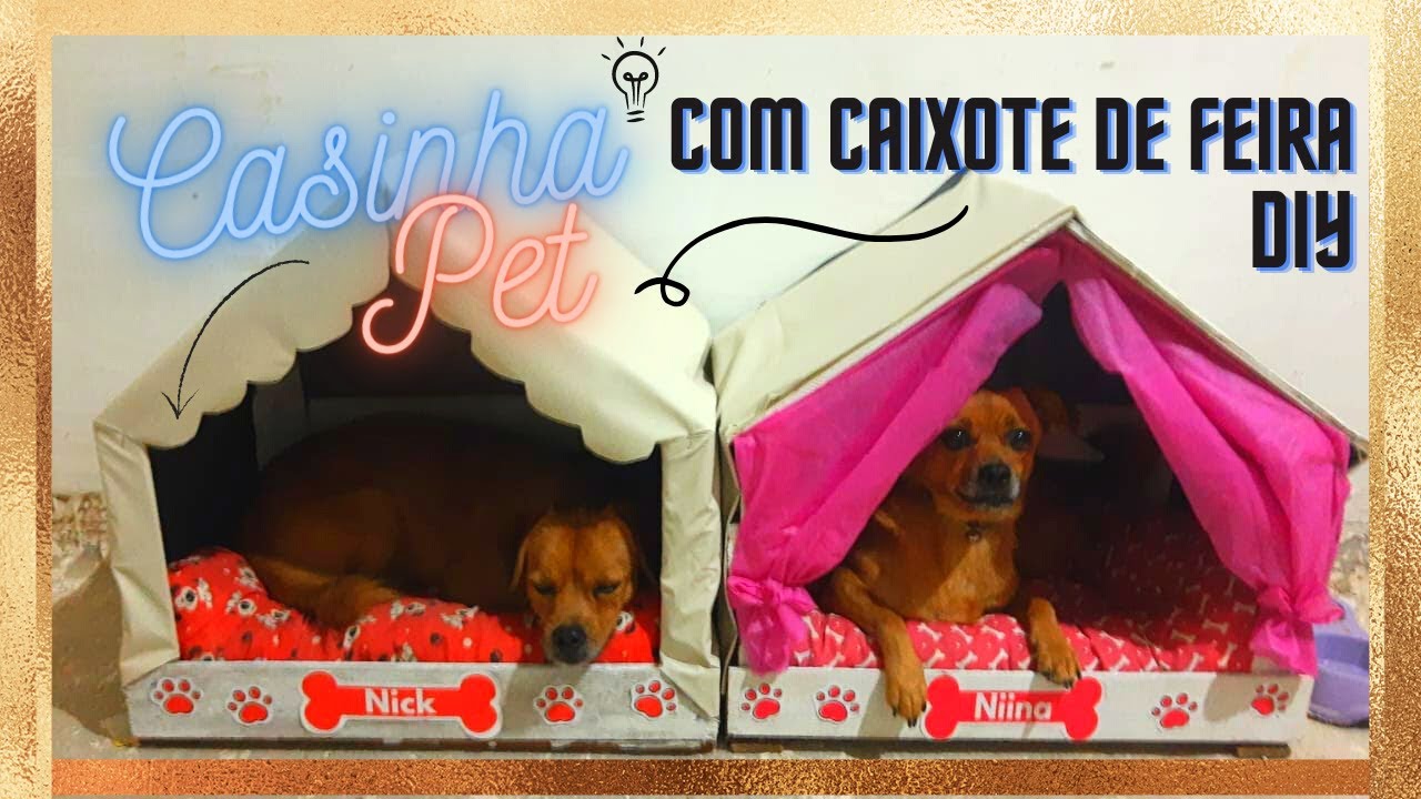 FAÇA UMA CASA PARA SEU PET COM CAIXOTE DE FEIRA | DIY