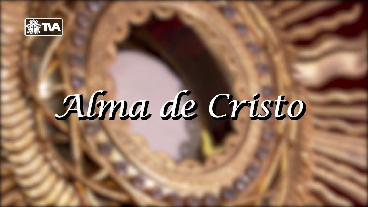 Santa Eucaristía,  desde Rectoría de Santa Catalina, zona 1, presidida por Pbro. Luis Sandoval