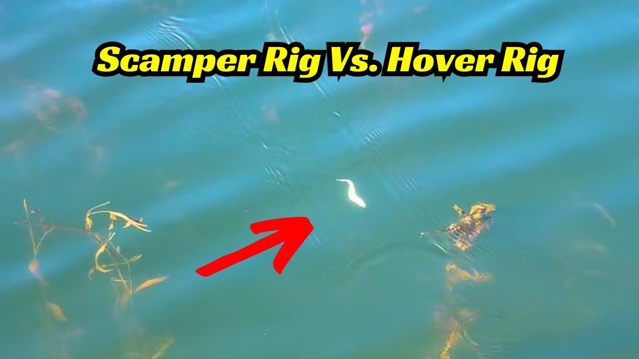 The Scamper Rig Vs. The Hover Rig! When and Where To Use Them!