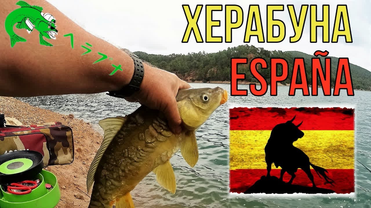 Ловим карпа и карася на водохранилище в Испании, метод Херабуна. Насадка картоха! Часть 1