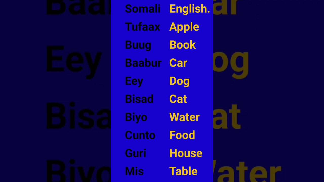 ENGLISH TO SOMALI VOCABULARY || Somali to English vocabulary.