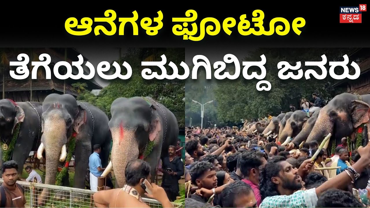 Kerala Elephants | ಆನೆಗಳ ಫೋಟೋ ತೆಗೆಯಲು ಮುಗಿಬಿದ್ದ ಜನರು | N18V