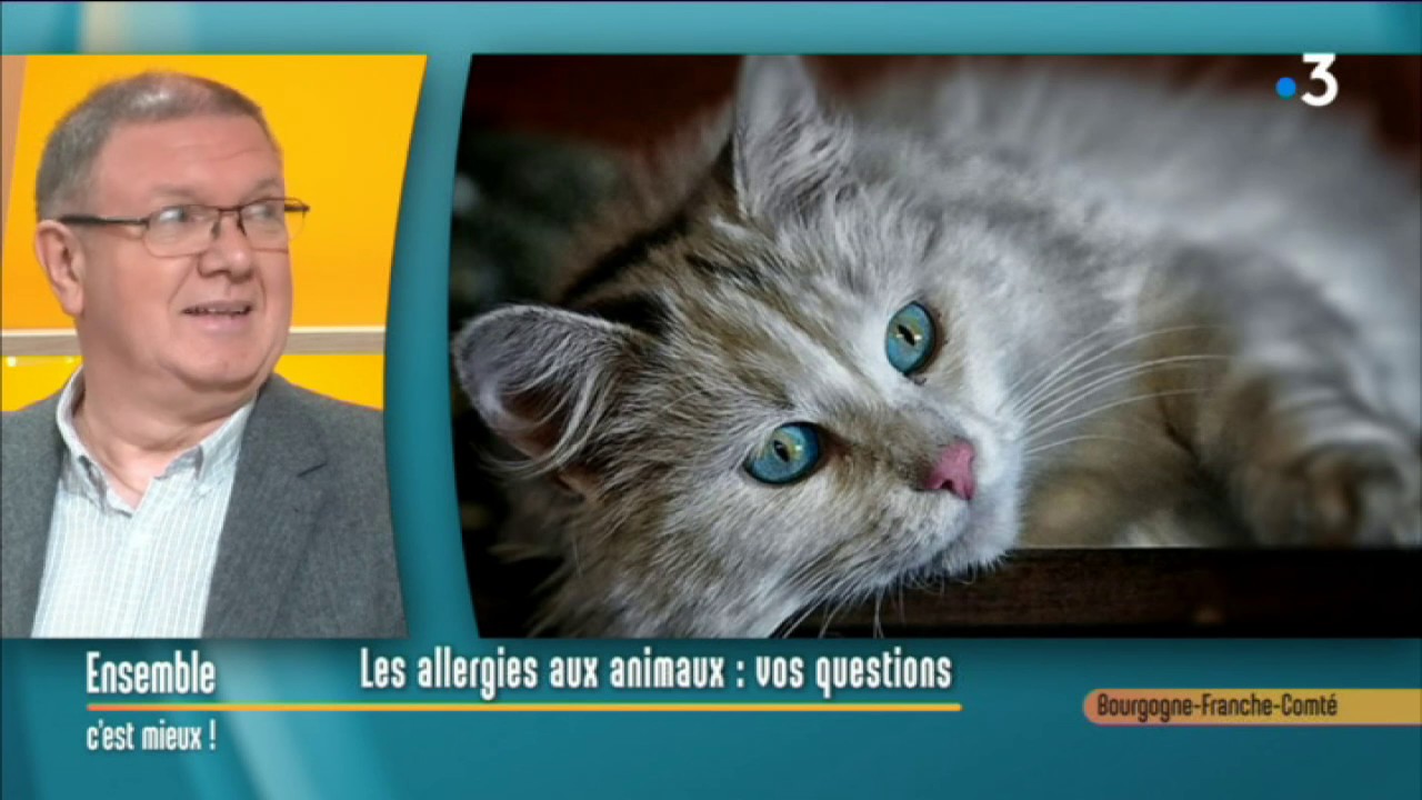 La question des allergies aux poils d’animaux avec un allergologue