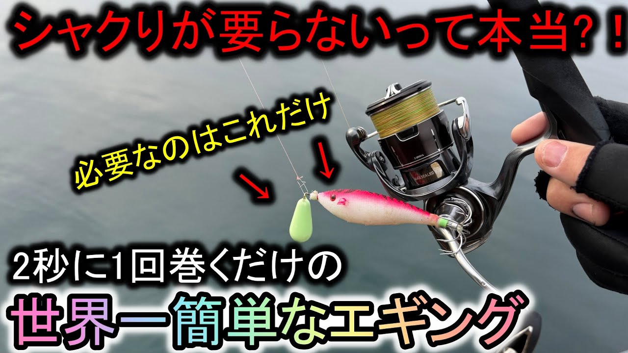 シャクりは一切しない…2秒に1回巻くだけで面白いように釣れるこのエギングが楽しい