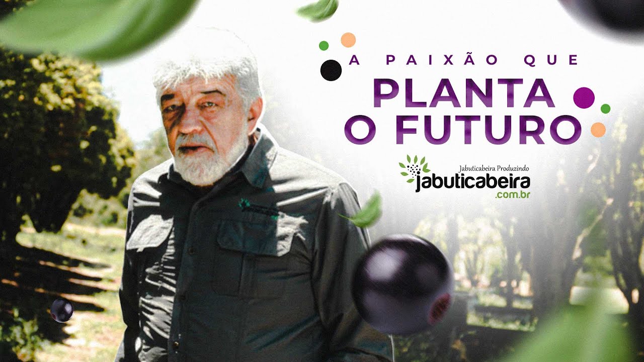 Paixão e Legado: Um Ano de Frutos