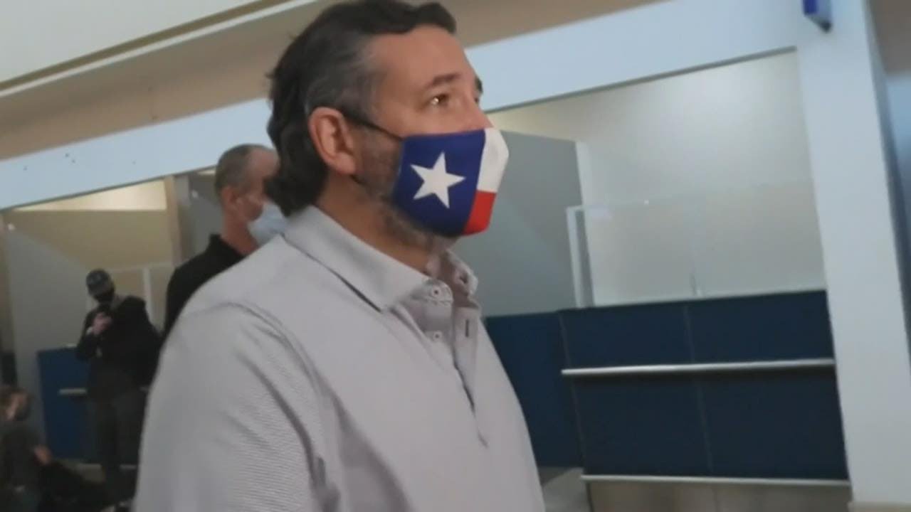 Sen. Ted Cruz returns to Texas from Cancun as residents struggle with power outages, lack of potable