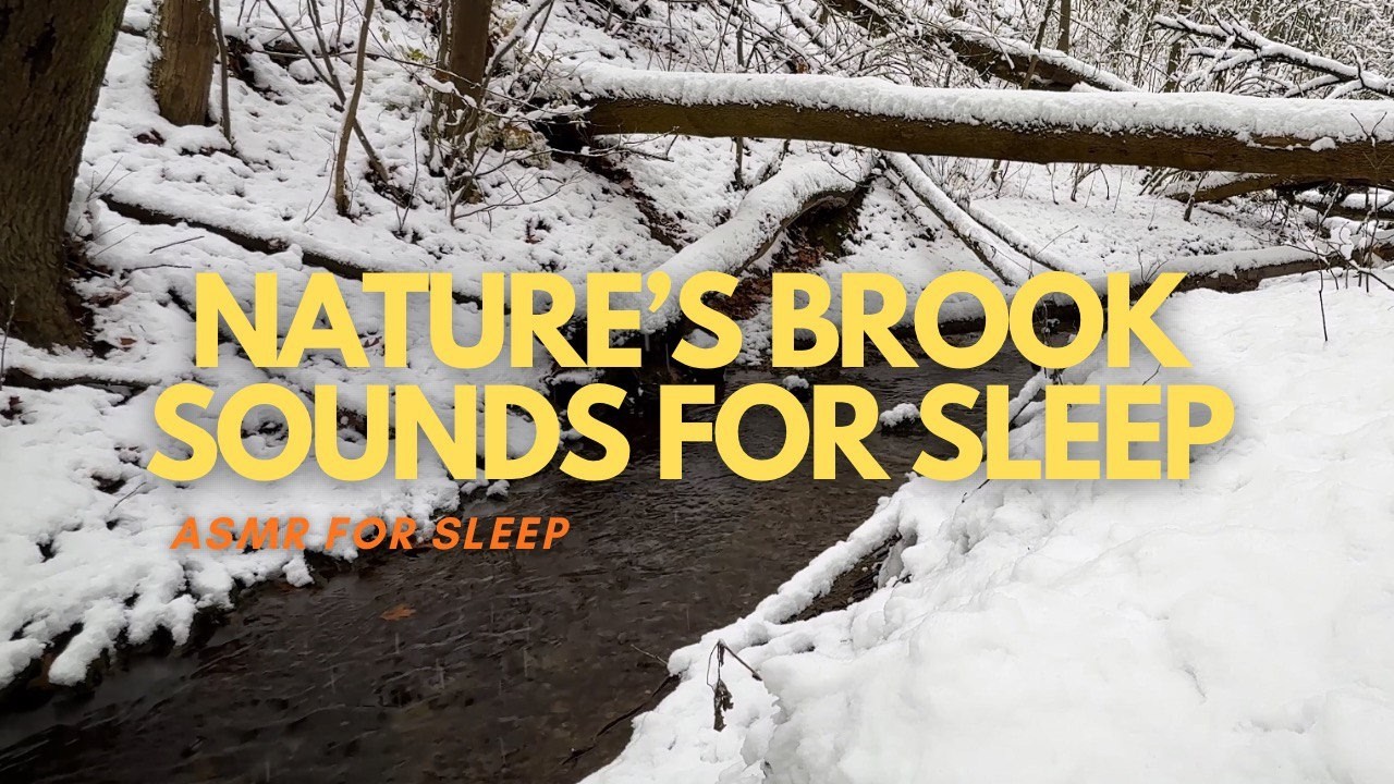 ASMR Winter Forest Adventure: Relax & Drift Away to Nature’s Serene Brook Sounds for Sleep | 2026